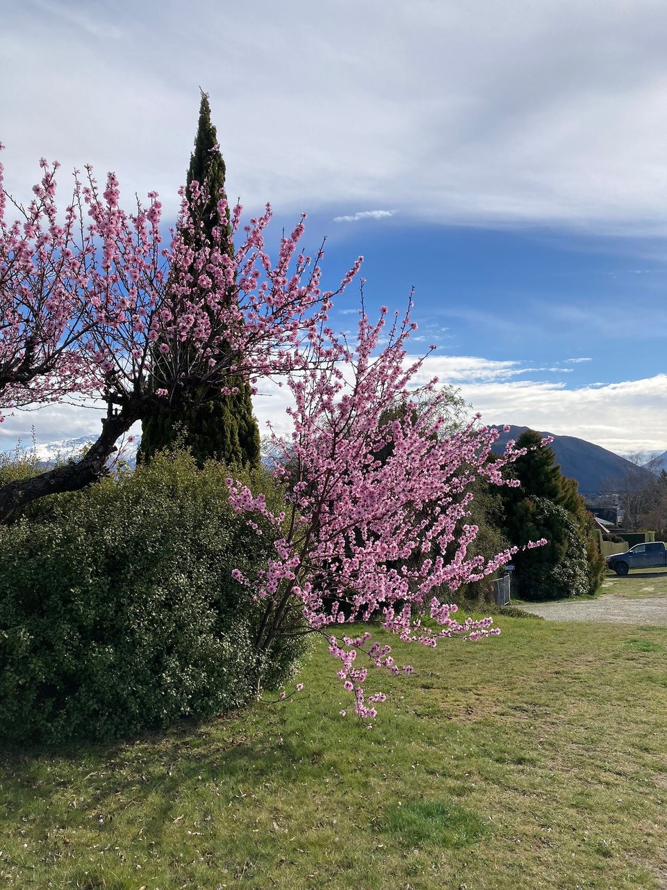 Neuseeland - Wanaka Ward - Das ist das einzige blau am Himmel, was ich heute sehen werde 🙈