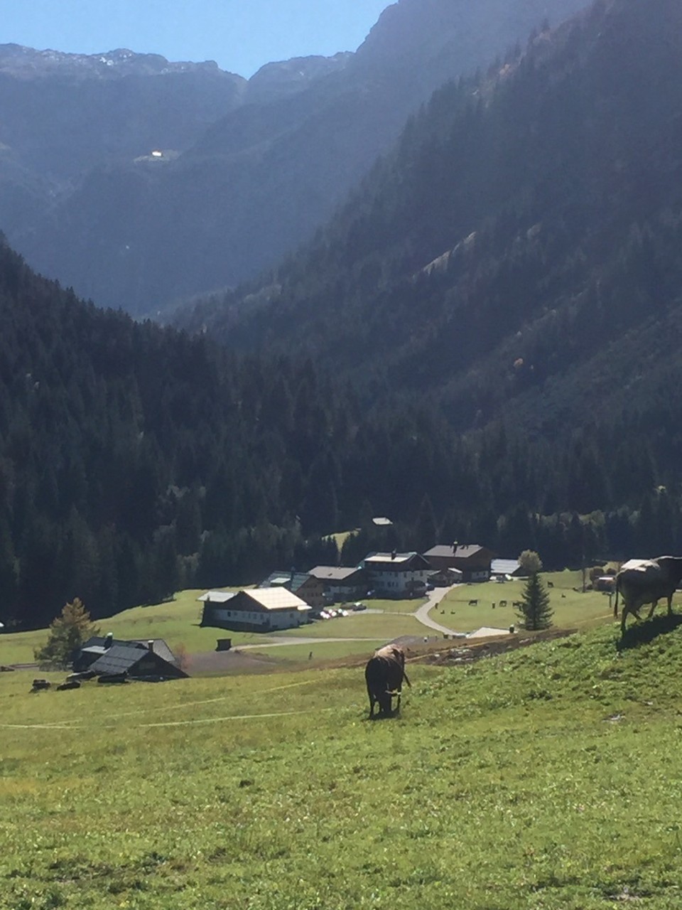  - Kleineswalsertal - Mittelberg Vorarlberg Österreich. Hier war ich früher mit meinen Eltern  schon wandern....