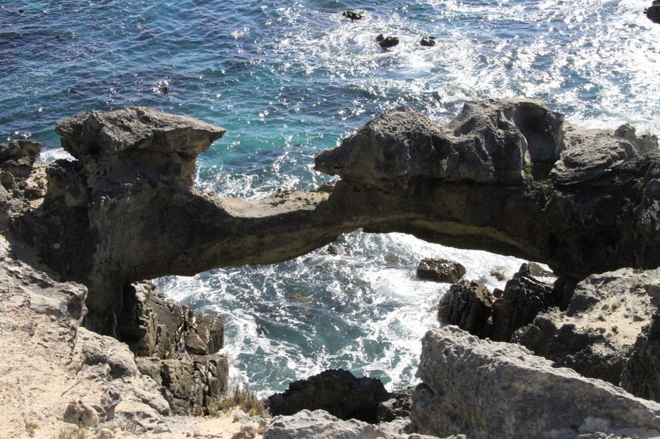 Südafrika - Gansbaai - Walker Bay ...