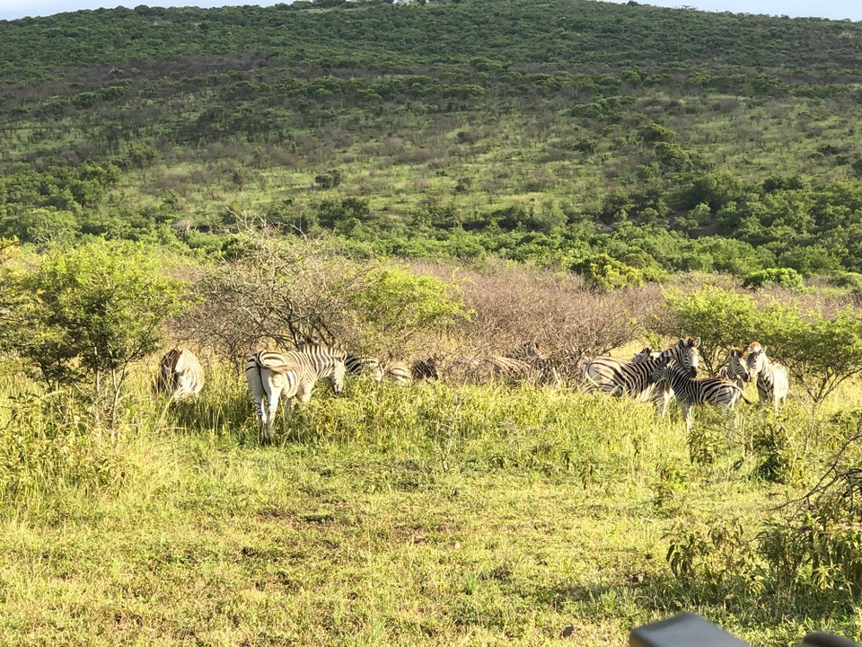 Südafrika - Durban - 
