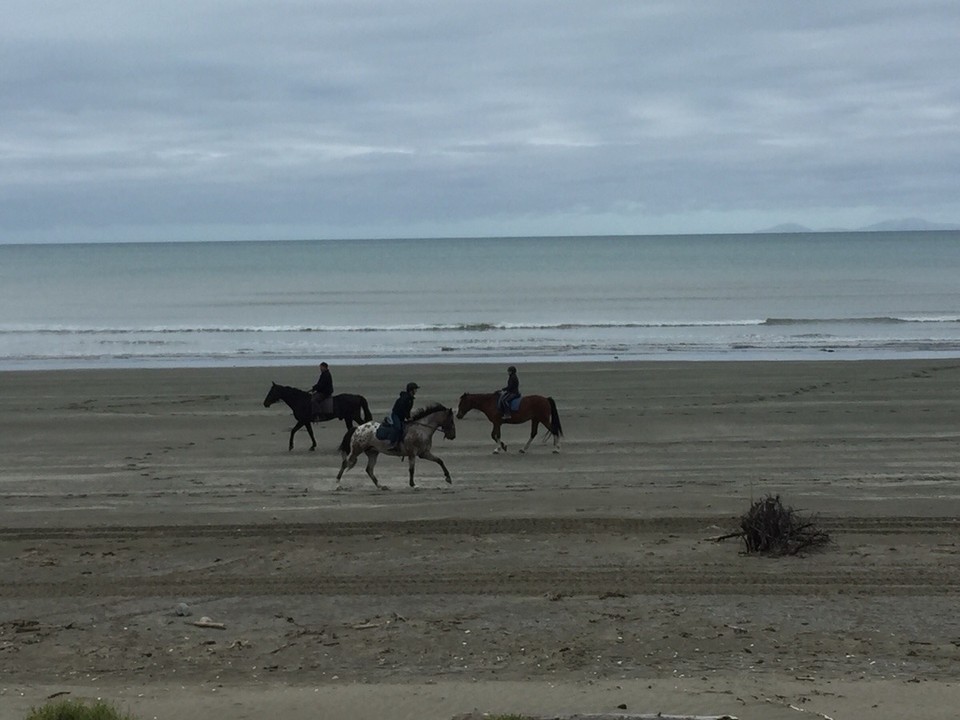 Neuseeland -  - 