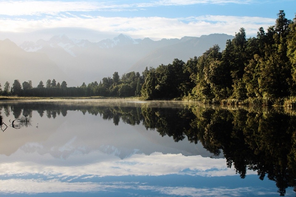 Neuseeland - Fox Glacier - 