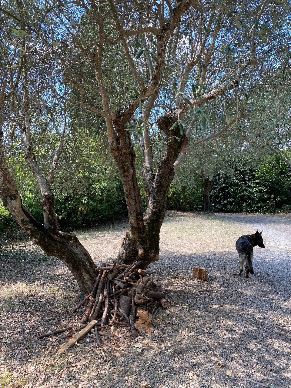 Frankreich - Tourrettes - 