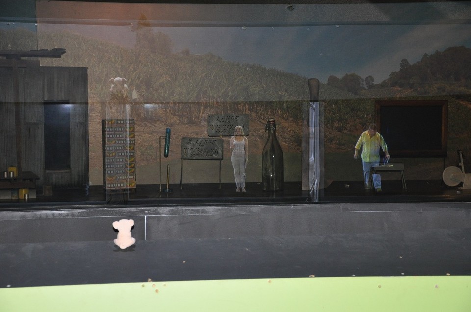 Australien - Coffs Harbour City - Nee, Bananeninfos - ich esse sie lieber