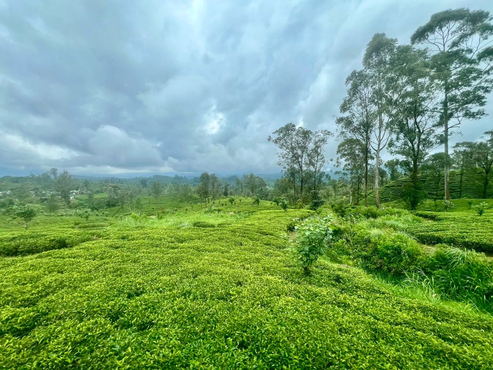 Sri Lanka -  - 