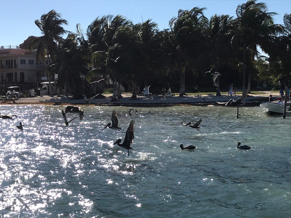 Belize - San Pedro - 
