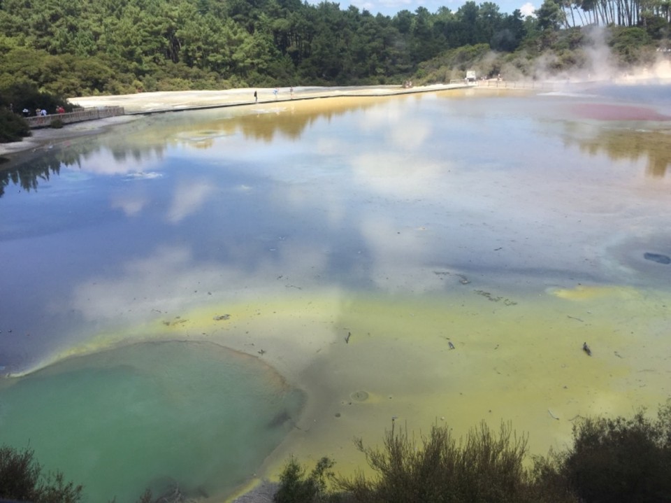 Neuseeland - Rotorua - 