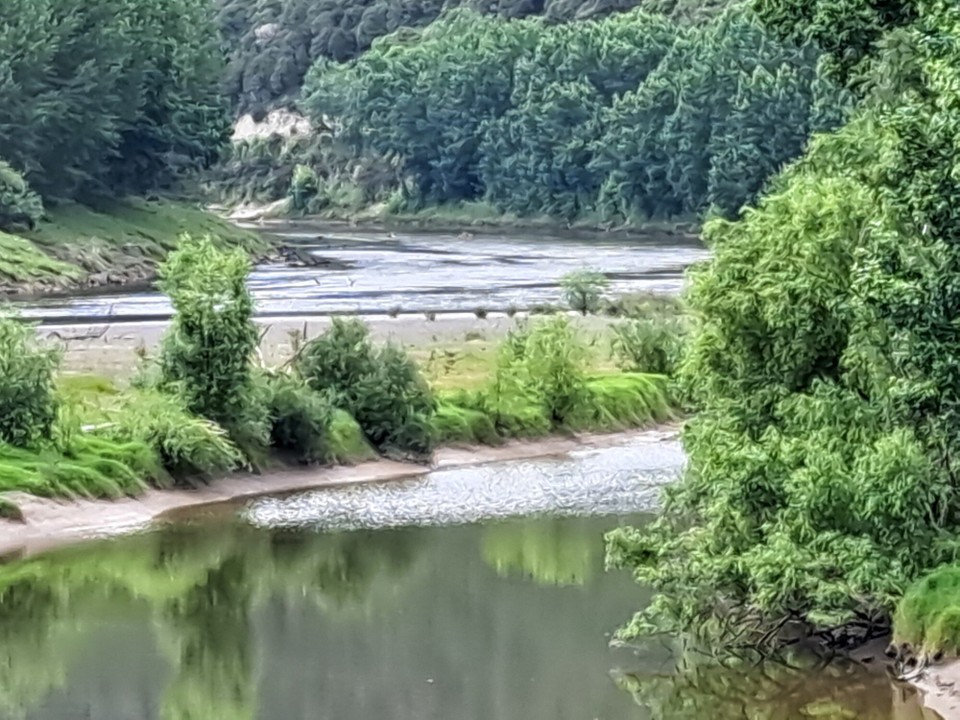 Neuseeland - Whanganui - 