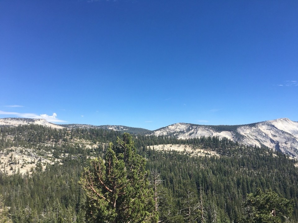 Vereinigte Staaten - Groveland - 