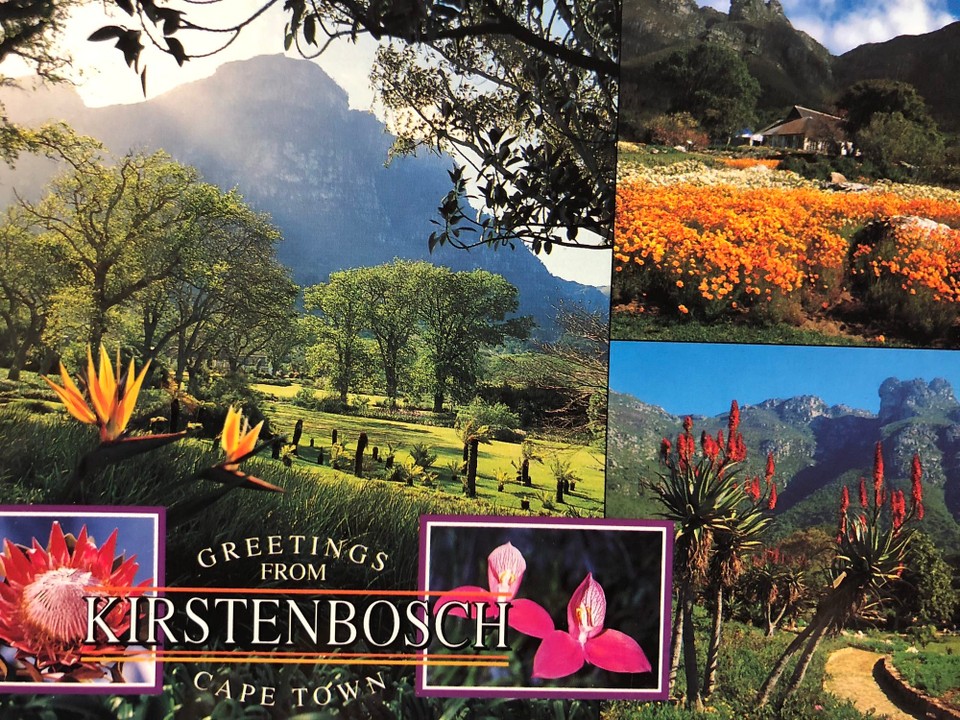 Südafrika - Kapstadt - 