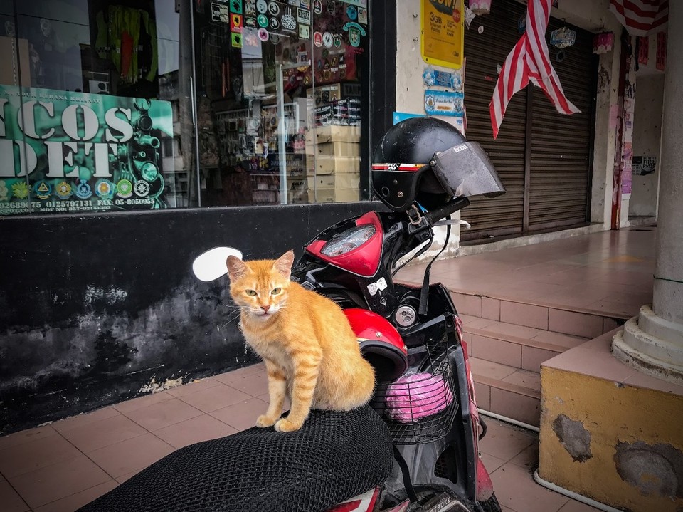 Malaysia - Ipoh - 