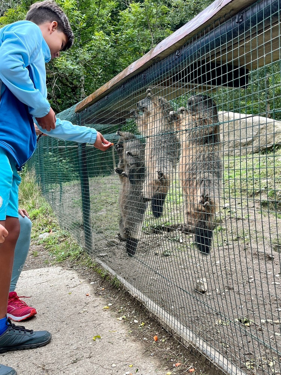 Frankreich - Bagnères-de-Bigorre - Jeder will zuerst sein & dafür tun die Murmeli alles! :-)))
