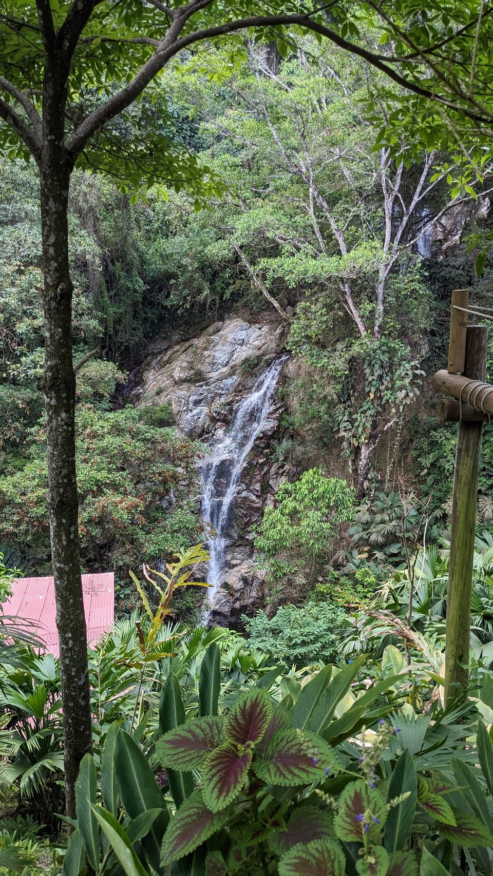 Kolumbien - Minca - 