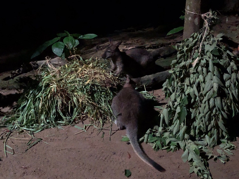 Singapur - Macpherson - 