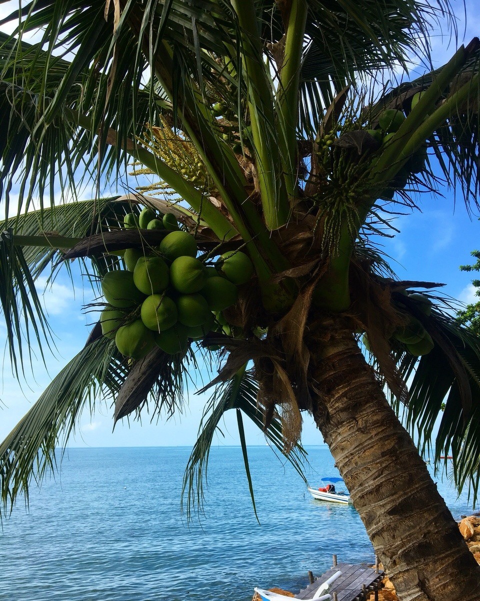 Thailand - Amphoe Ko Pha-ngan - 