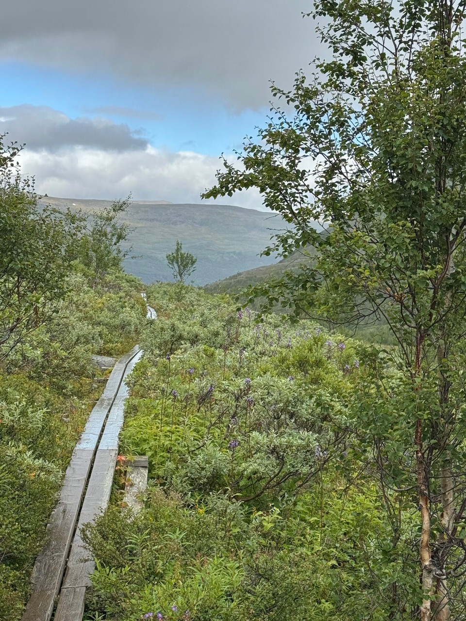 Schweden - Kiruna - 