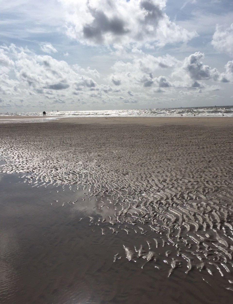  - Niederlande,  Kadwijk aan Zee - Ebbestimmung...