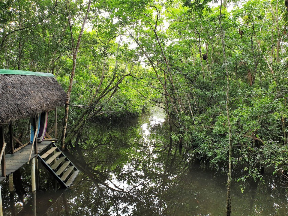 Ecuador - unbekannt - From the lodge to the lagoon