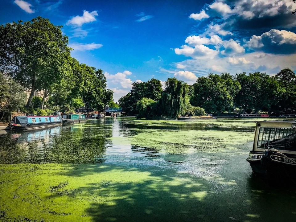 United Kingdom - London - 