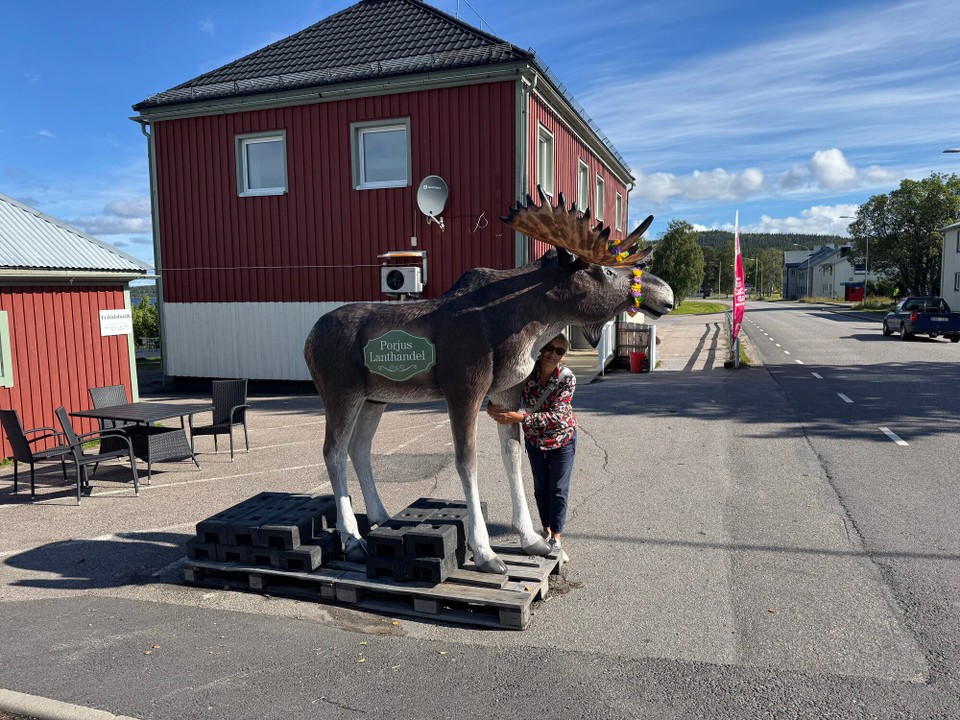 Schweden - Östersund - Ich hab doch noch einen gefunden 