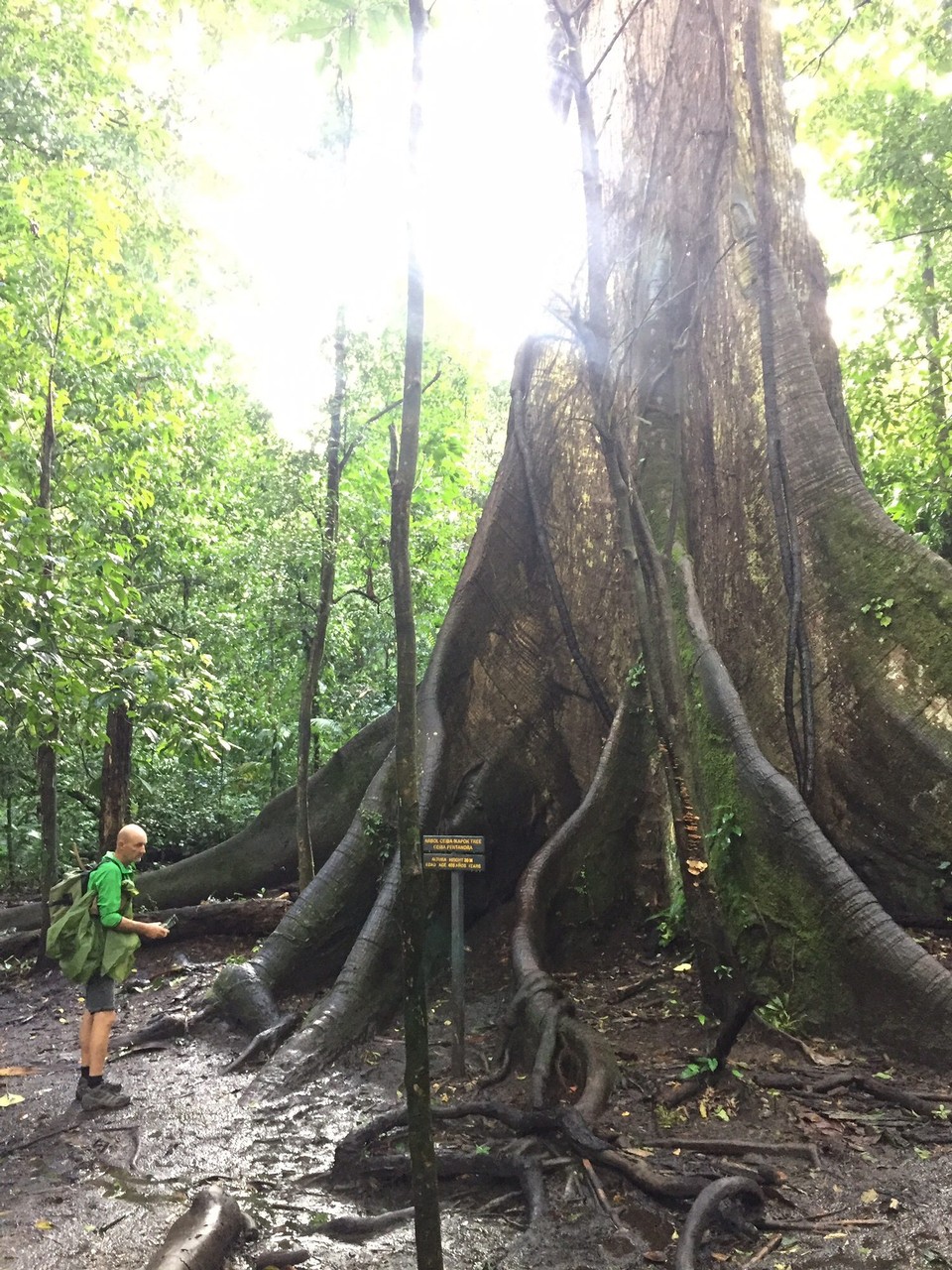 Costa Rica - La Fortuna - Avantar Baum