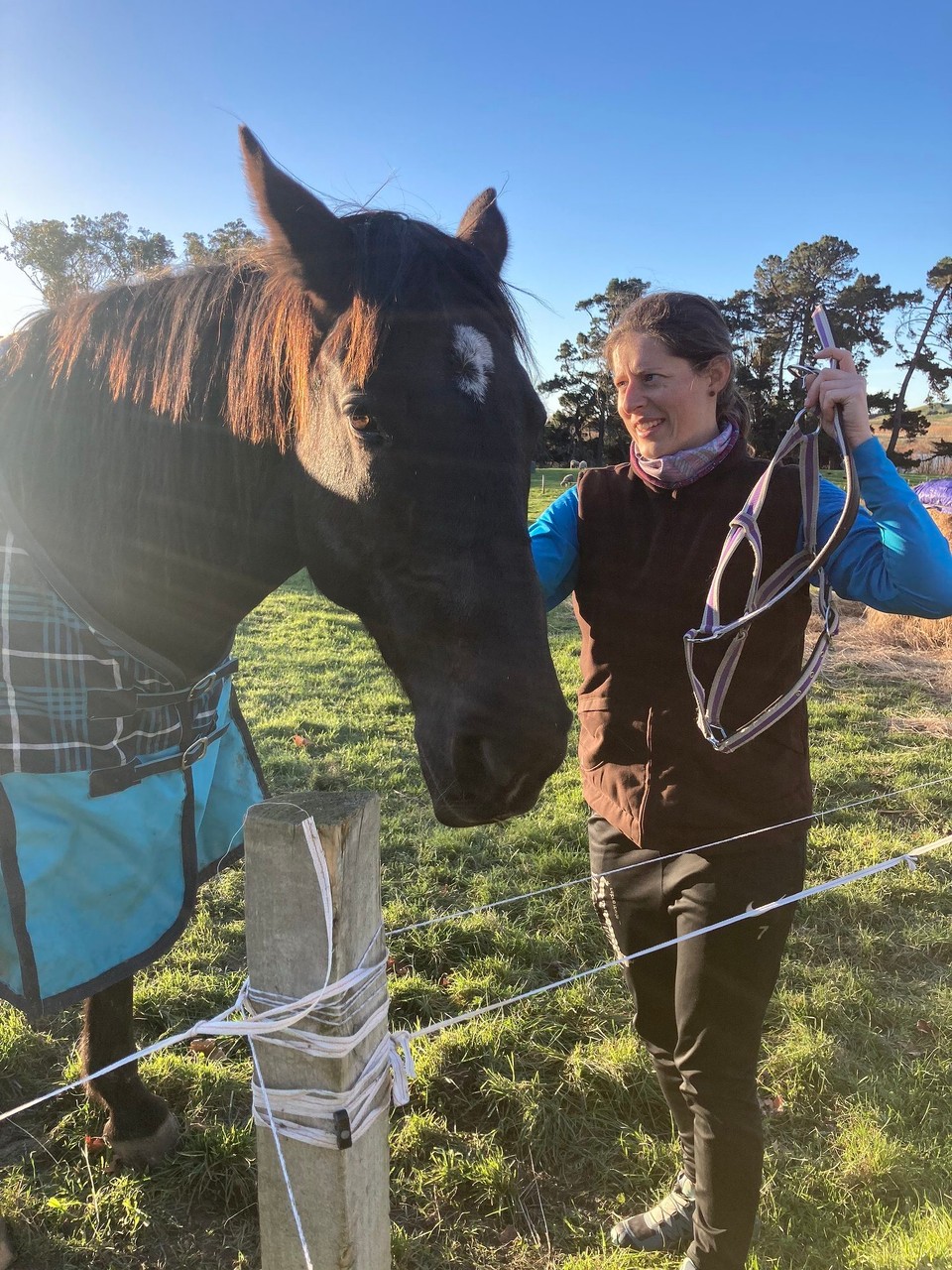 Neuseeland - Ward - Decke drauf, Zaumzeug ab und ab auf die Wiese! Gute Nacht und bis bald 😴🙋🏻‍♀️