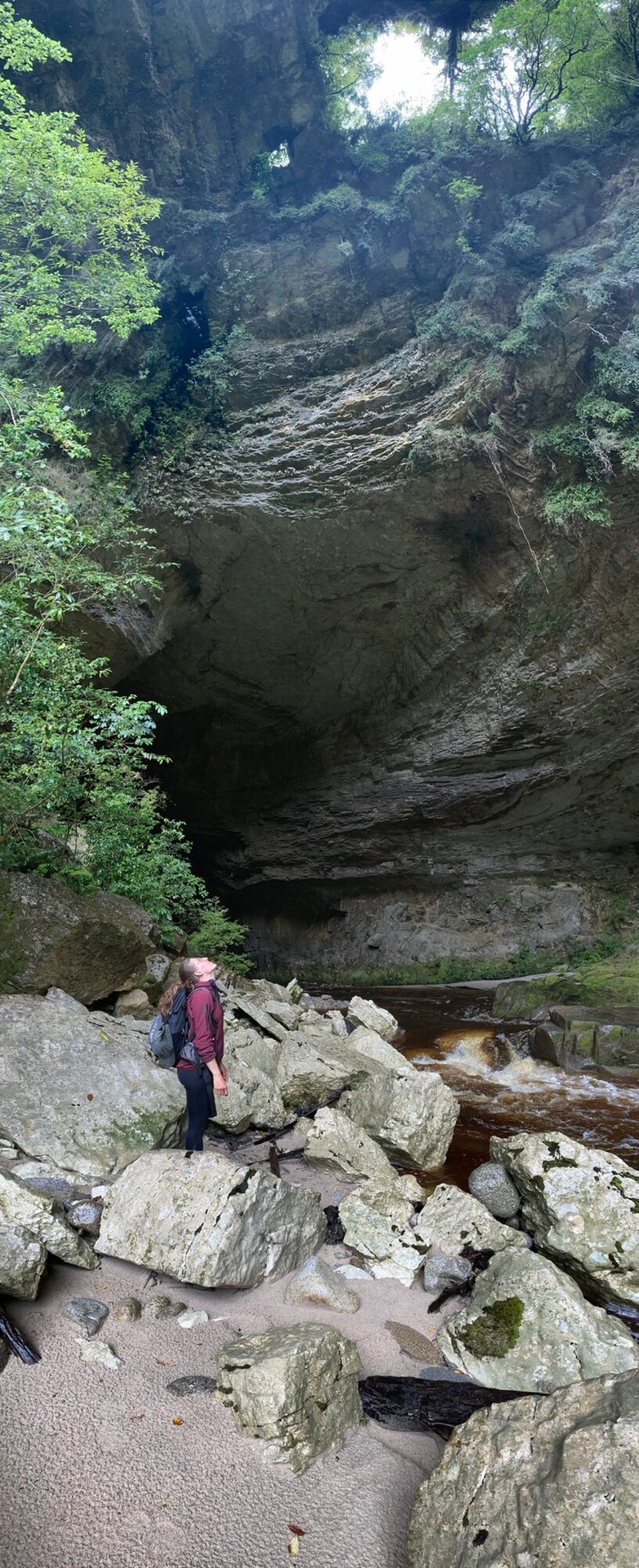 Neuseeland - Kahurangi National Park - 