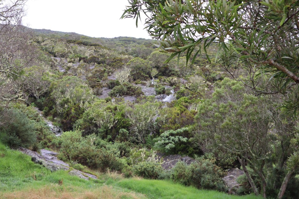 Réunion -  - 