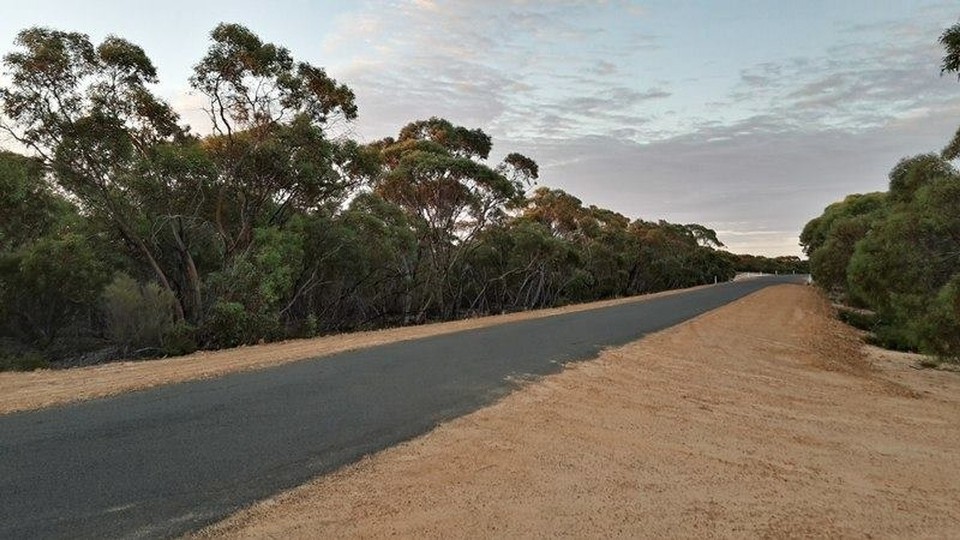 Australia - Big Desert - So this is what a desert looks like in Australia... A bit weird. A desert is supposed to be dead, right? Sand, sand, sand... So why are there so many trees here? 