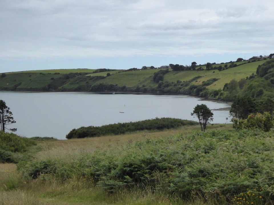 Ireland - Kinsale - Jarley’s Cove.