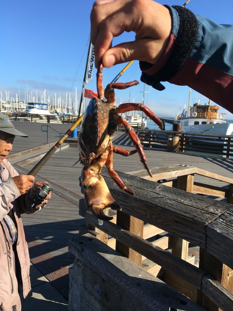 Vereinigte Staaten - San Francisco - Wie gesagt ganz frisch =) 