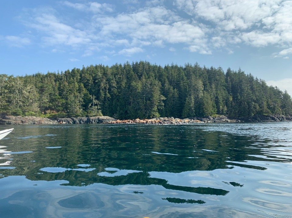 Kanada - Mount Waddington A - 