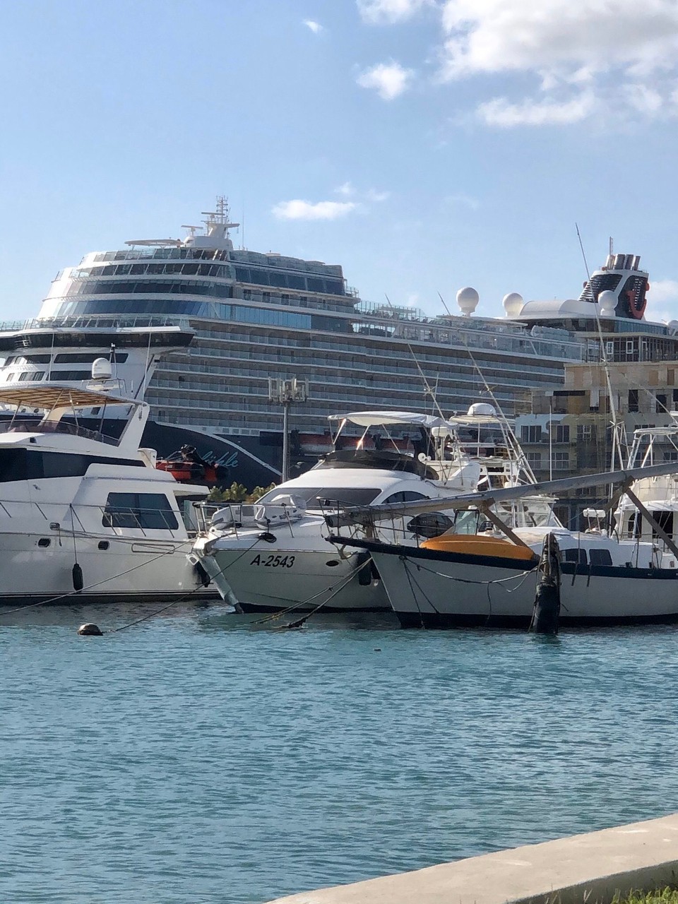 Aruba - Oranjestad - Mein Schiff2 im Hafen Aruba