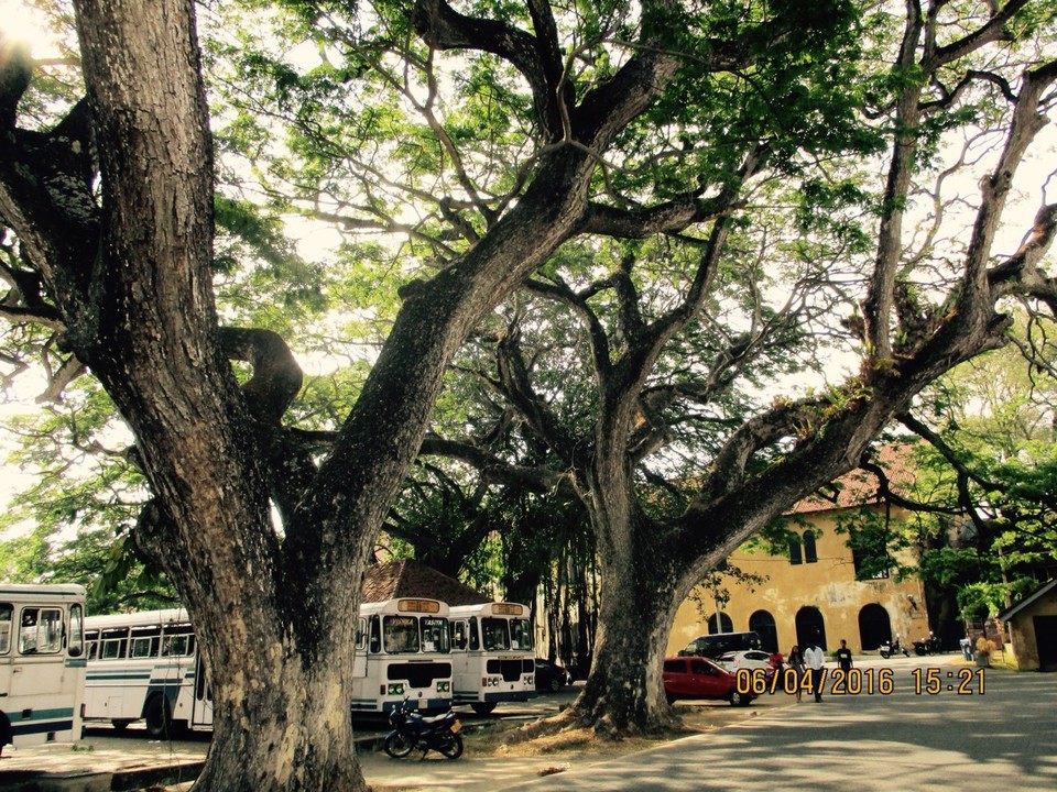 Sri Lanka - Galle - 