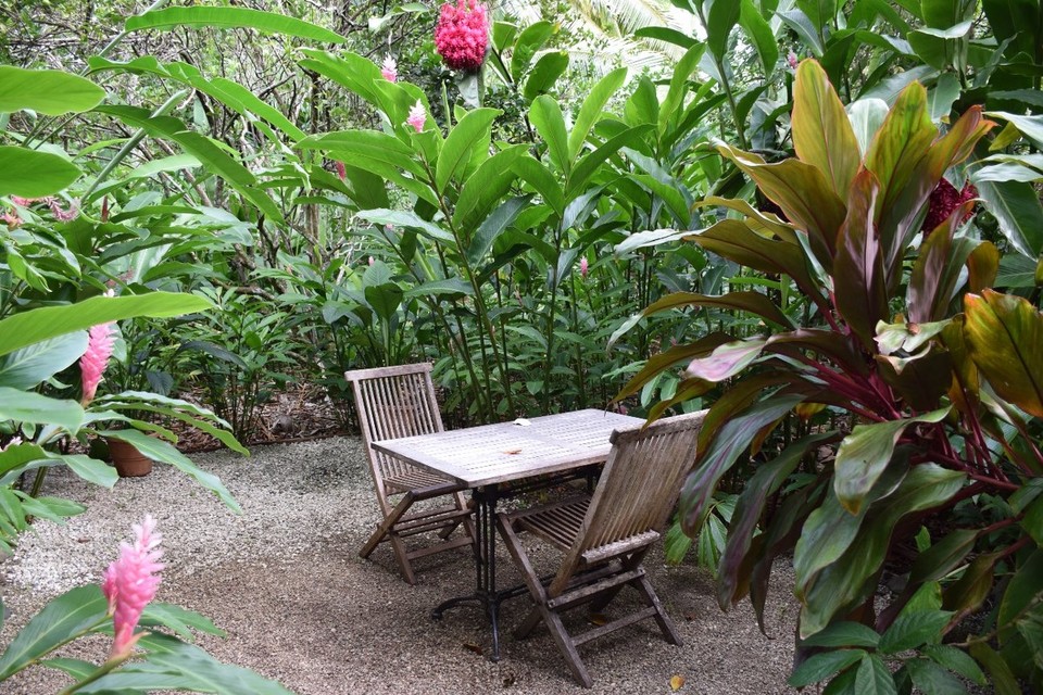 Cookinseln - Rarotonga - Im Garten gab es auch ein kleines Café - eine tolle Umgebung für einen Kaffee :)