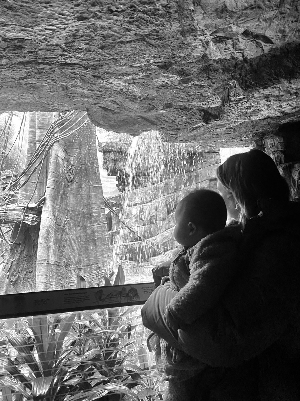 United States - Mount Kisco - 