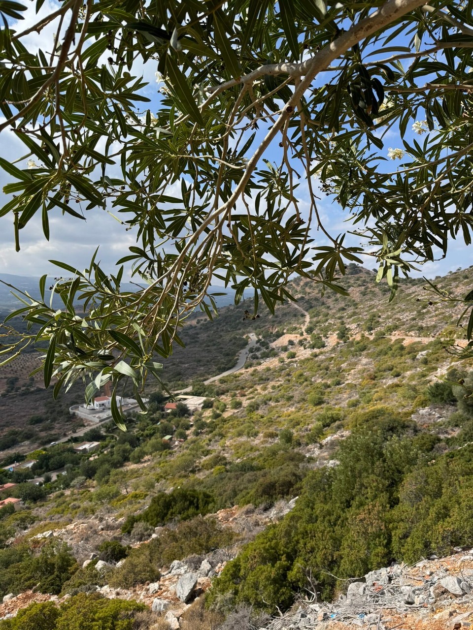 Griechenland - Melidoni - 