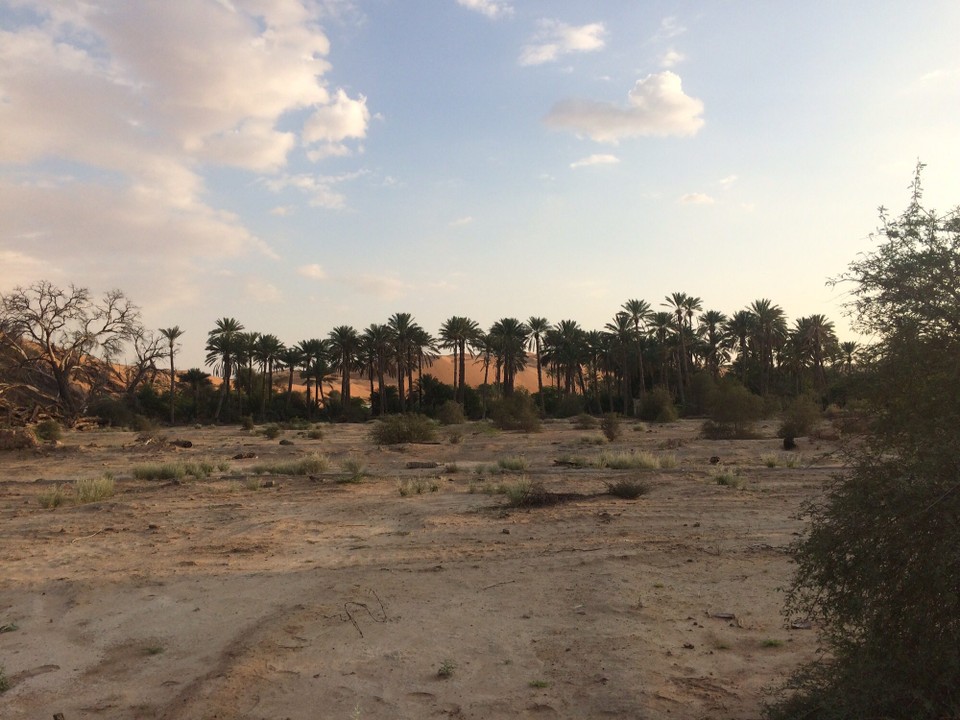 Oman -  - Ein letzter Blick und nun auf nach Ibra - noch ca. 50km - dann ist das Tagesziel erreicht