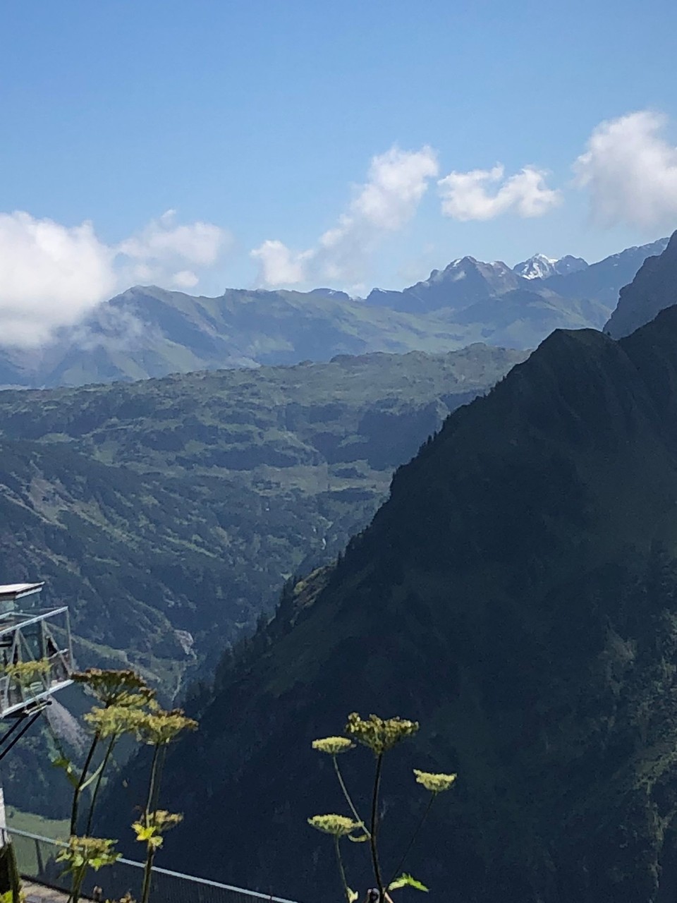 Deutschland - Oberstdorf - Vom Walmendingerhorn/Iven 🌞🌺🌸