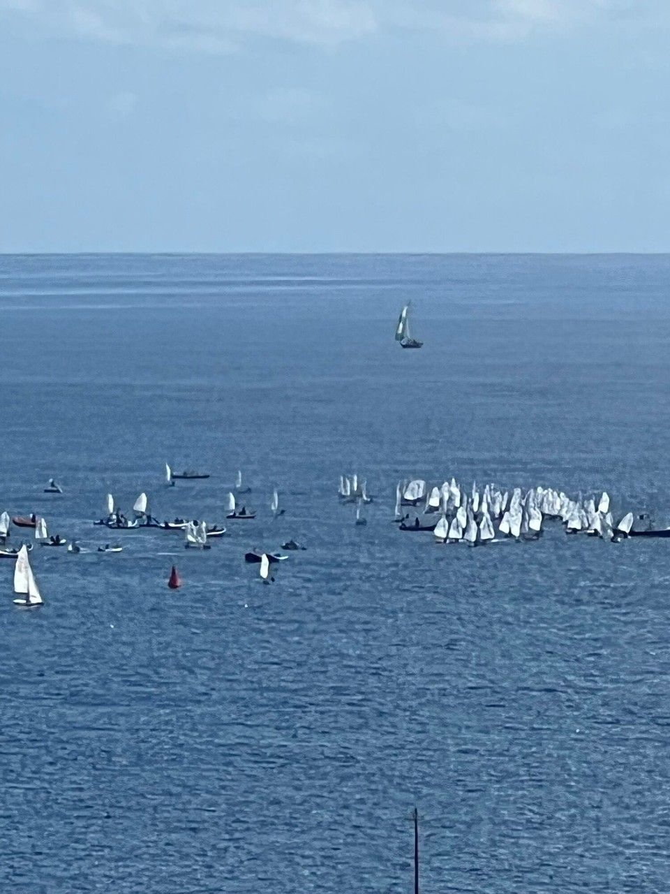 Spanien - Santa Cruz de Tenerife - Hier fand wohl eine kleine Regatta statt