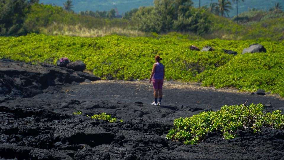 USA - Pahala - 