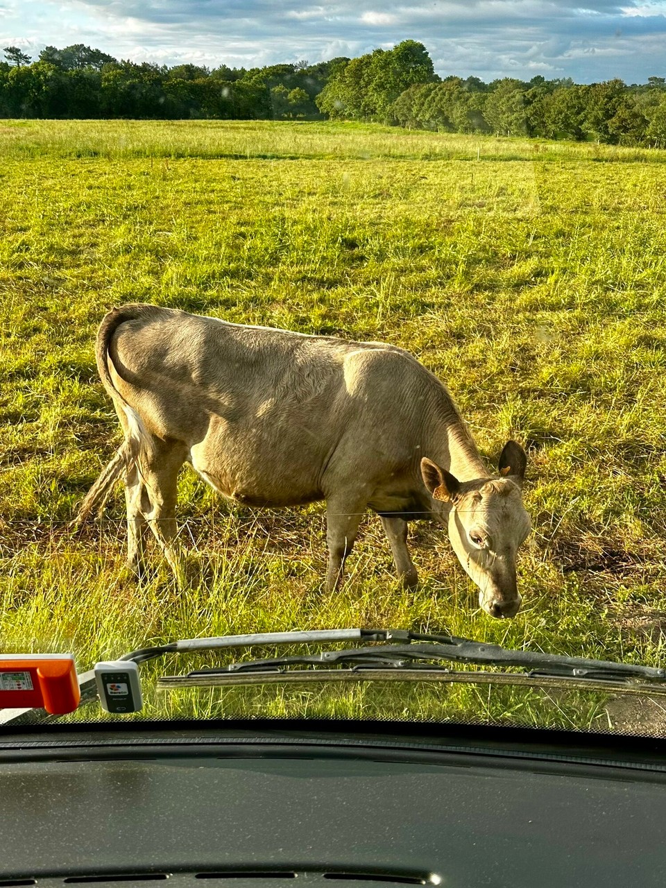 Frankreich - Carnac - 