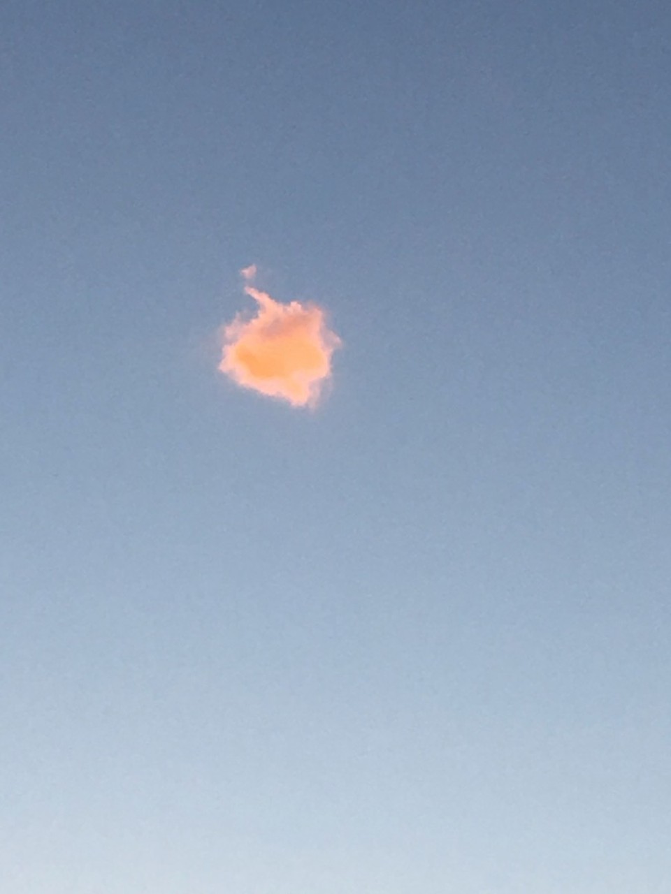 Australien - Bunbury - Ein Wolkenschwein