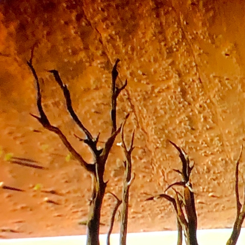 unbekannt - Namib - 