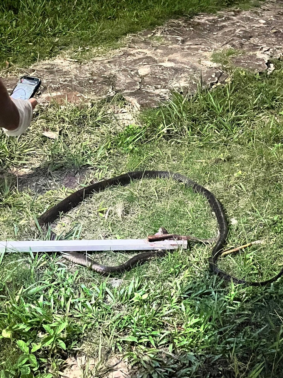 Cambodia - Kiri Sakor - 