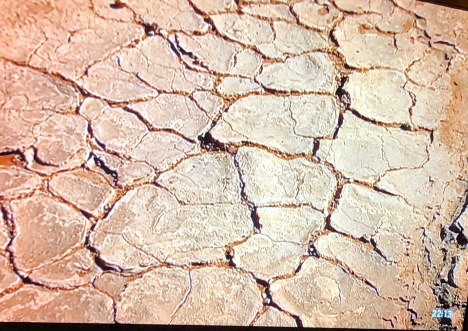 unbekannt - Namib - 
