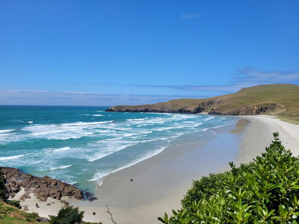 Neuseeland - Otago Peninsula - 