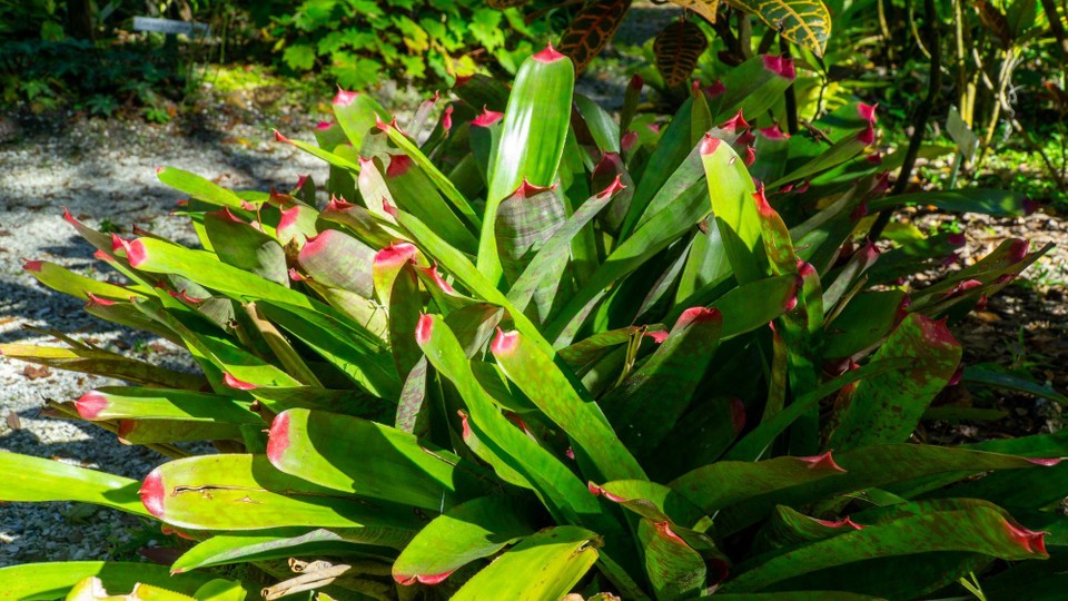 USA - Daytona Beach - 