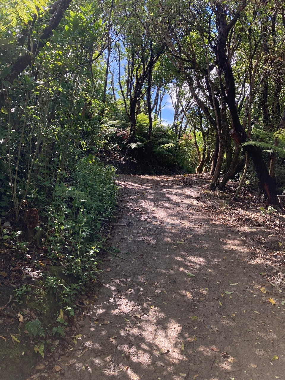 Neuseeland - Picton - 