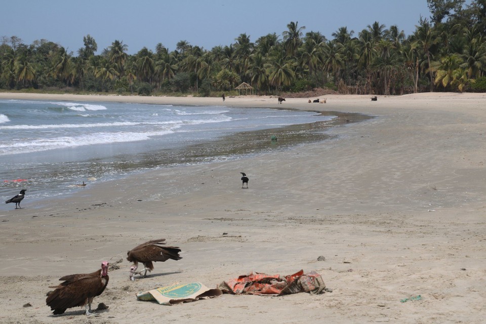 Senegal - Cap Skirring - Strand